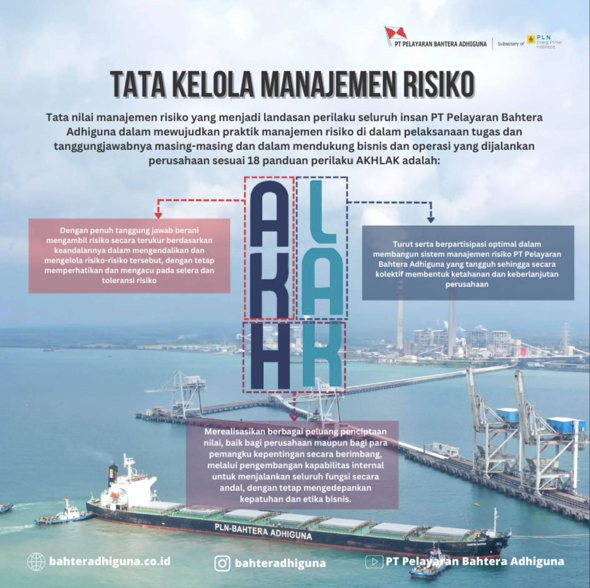 BAg Risk Management Values